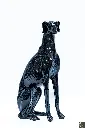 Grey hound Dog Black4.webp