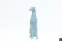 GreyHound Dog White3.webp