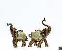 New Brown_ Caramel Elephant Set3.webp