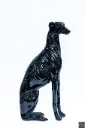 Grey hound Dog Black