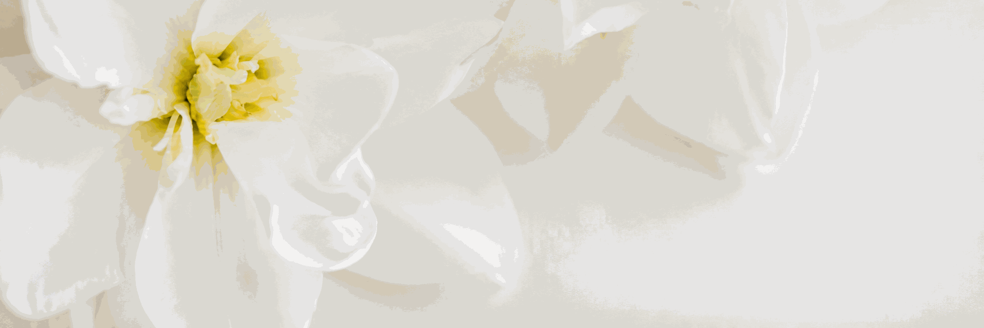 Embossed Art
